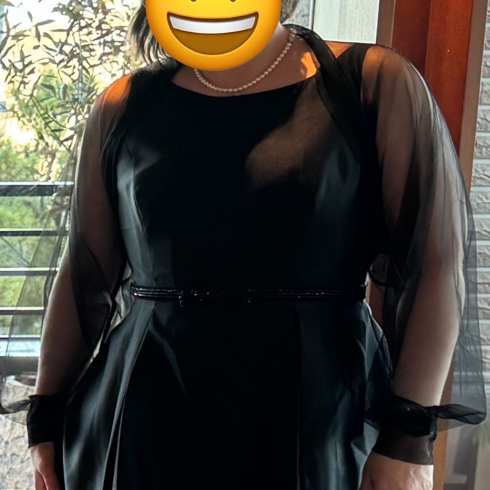 Adrianna Papell Sleeveless Mikado Fit And Flare Midi Dress With V-Back In Black - Picture 10 of 10